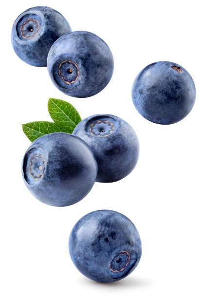 istock Bilberry isolated. Bilberries with leaf flying on white background. Perfect retouched bilberries falling. Full depth of field. 2057482775