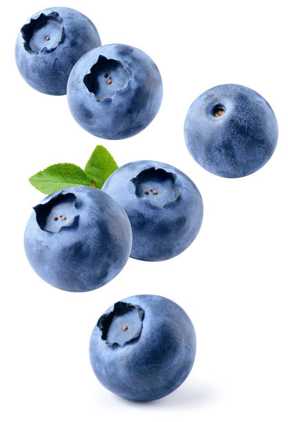 istock Blueberry isolated. Blueberries with leaf flying on white background. Perfect retouched blueberries falling. Full depth of field. 2057482783