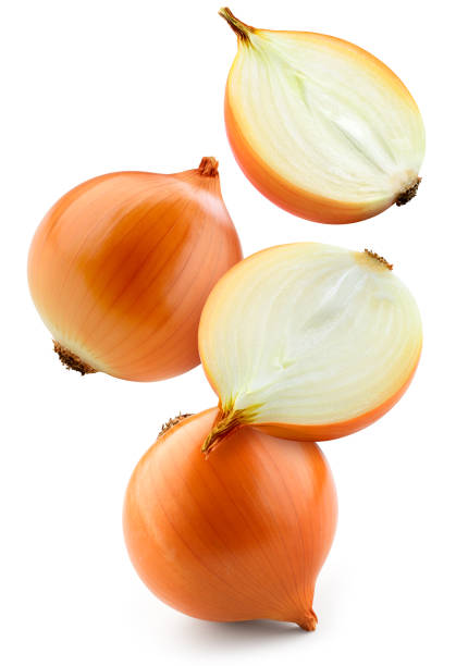 Onion bulbs isolated. Whole golden onion bulb and a half on white background. Falling onion. Full depth of field.