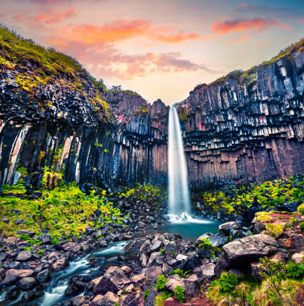 Dramatic morning view of  famous Svartifoss (Black Fall) Waterfall. Colorful summer sunrise in Skaftafell, Vatnajokull National Park, Iceland, Europe. Artistic style post processed photo.