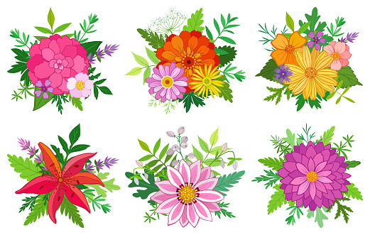 A set of hand drawn floral compositions