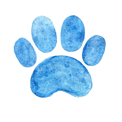 Silhouette of a pet's paw. Isolated on white background. Blue color. Watercolor. Trace, imprint. Cat, dog. Baby shower. It's a boy. Decor.