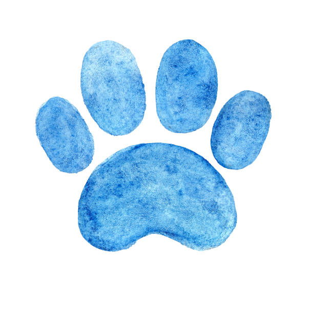 140+ Dog Paw Print Watercolor Stock Illustrations, Royalty-Free Vector Graphics & Clip Art - iStock 140-dog-paw-print-watercolor-stock-illustrations-royalty-free-vector-graphics-clip-art-istock