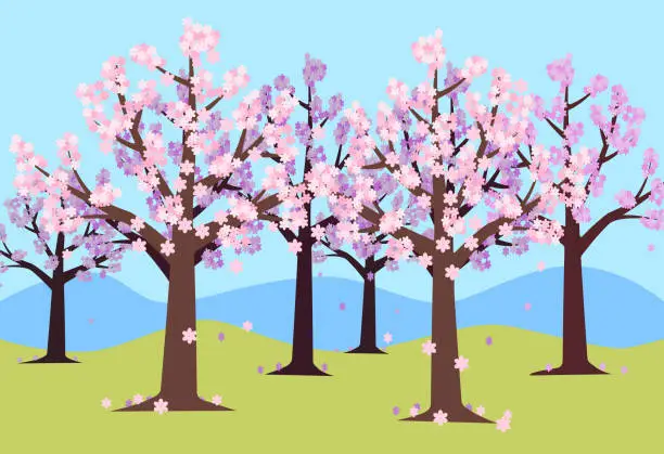 Vector illustration of Cherry blossom trees