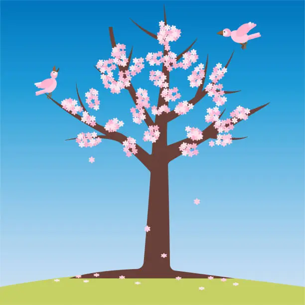 Vector illustration of Cherry blossom trees and a pair of nesting birds