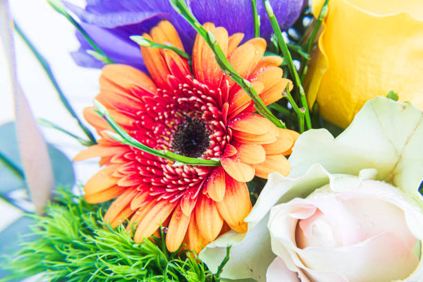 Bouquet of spring flowers - foto stock