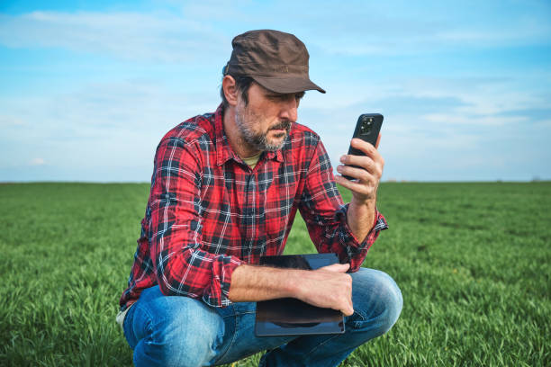 istock Smart farming, farm worker using smartphone and digital table in cultivated wheat field 2057576241