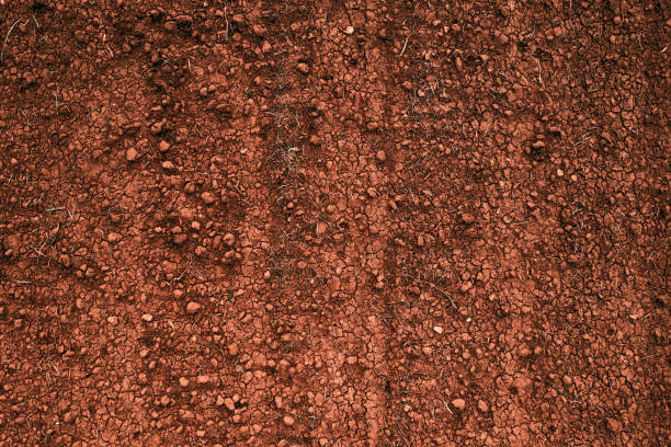 Top view of farmland soil ready for tillage, aerial shot