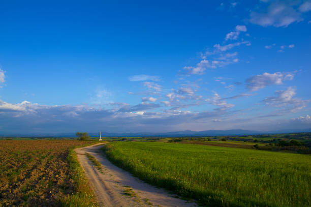 Spring landscape near Aldea del Fresno and the Alberche river flora central spain