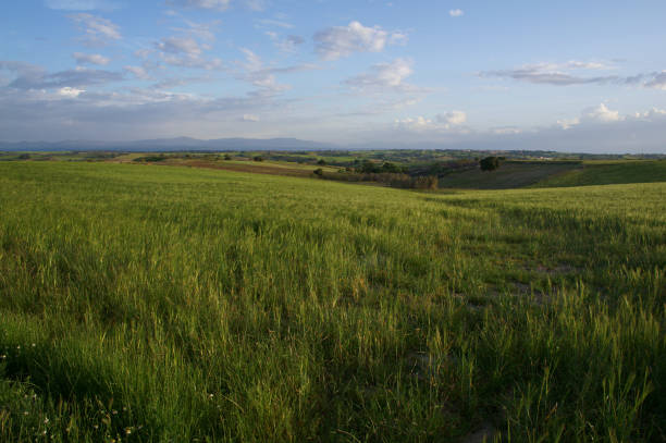 istock landscape, view, plants, flora, greenery, nature, spain, clear day, spring, colors, 2057580445