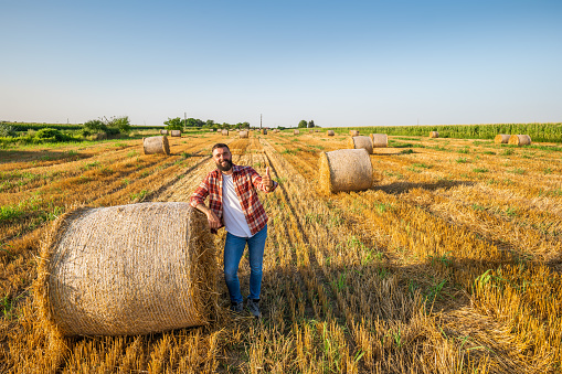 Farmer is standing beside bales of hay. He is satisfied after successful harvesting.