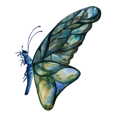 Hand drawn watercolor illustration butterfly fairy wings gem crystal insect moth. Sapphire emerald labradorite larimar. Single object isolated on white background. Design print shop, wedding birthday