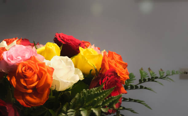 istock A bouquet of multicolored roses on a dark background, with a slight vignetting. 2057638094
