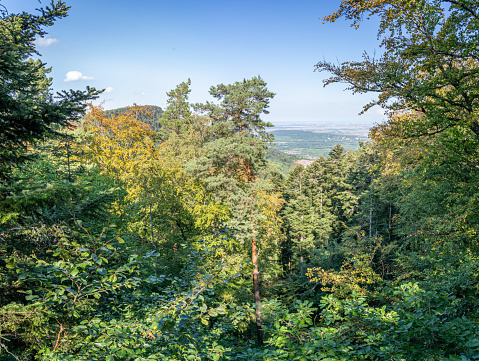 Path of the Gauls. Panoramic view of rocks and trees on top of the pathway