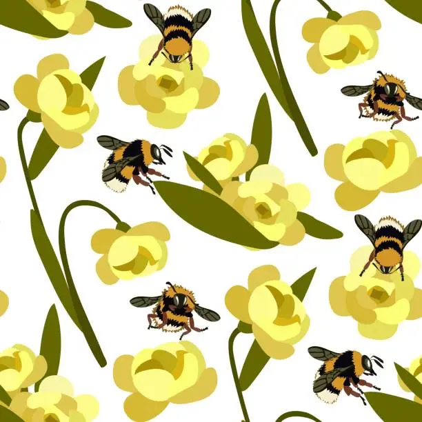 Vector illustration of A pattern of realistic bees and bumblebees with yellow flowers on a white background. Light pattern with insects. Bee Day. Suitable for printing on textiles and paper. Gift packaging