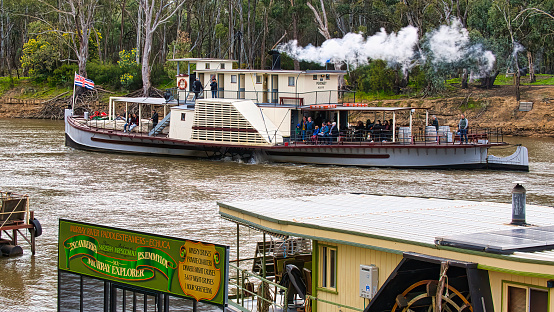 Echuca, Victoria, Australia - 12 August 2022: Historic riverboat Pevensey steams past lush riverside greenery at Echuca in Victoria Australia
