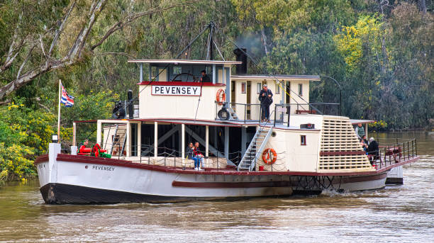 Echuca, Victoria, Australia - 12 August 2022: The Pevensey paddle steamer cruises along the winding Murray River at Echuca Victoria Australia