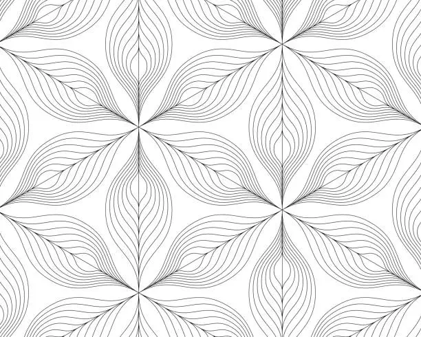 Vector illustration of abstract black white leaf lines. geometric pattern background. natural concept. vector illustration.