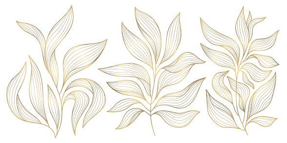 Vector gold leaves on white background isolated. Wavy drawn line branches, nature, plants luxury design elements.