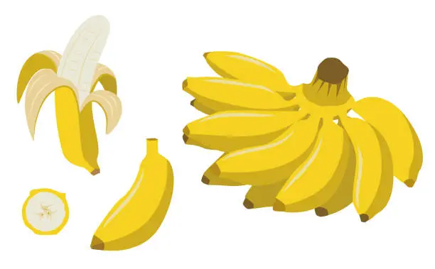 Vector illustration of Vector illustration of a bunch of yellow bananas and peeled