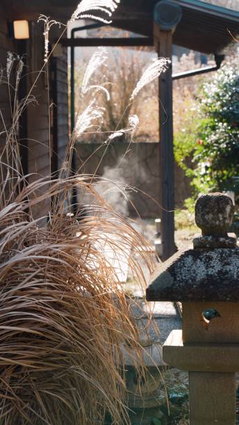 Asian private residences and rising hot spring steam