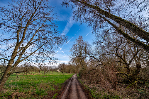 Agricultural road as boundary of an undeciduous deciduous forest with undergrowth and an adjacent meadow orchard