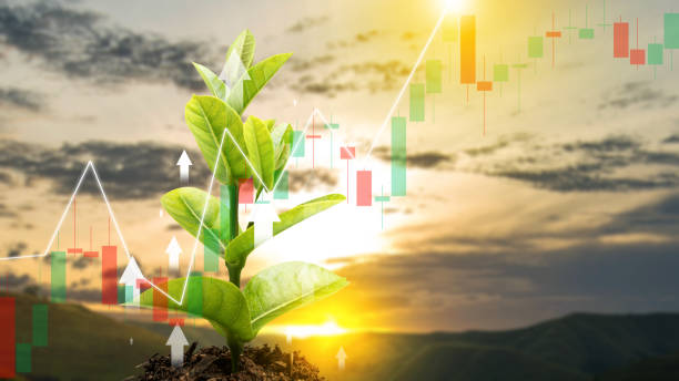 istock Plant growing with increases in profitability graph 2057776235