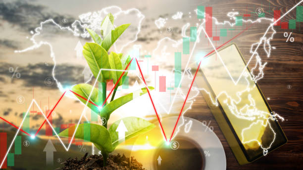 istock Plant growing with increases in profitability graph 2057776295