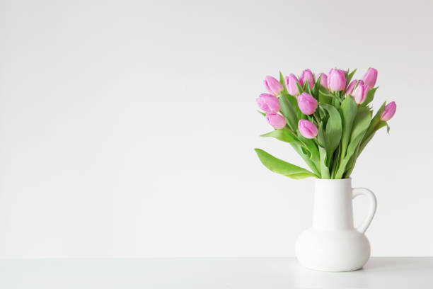 istock pink tulips in white jug on white background 2057784272