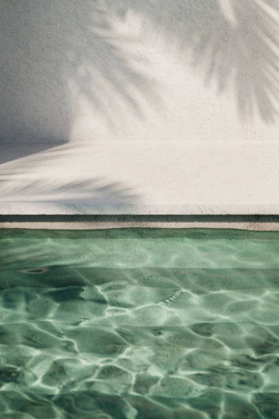 Tropical summer background with concrete wall, pool water and palm leaf shadow.