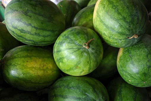 Fresh watermelons (Citrullus lanatus) on shelves in  supermarket.
