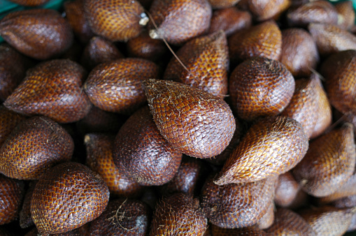 Ripe Salak fruits (Salacca edulis or Salacca zalacca) known as snake fruit or snake skin fruit.