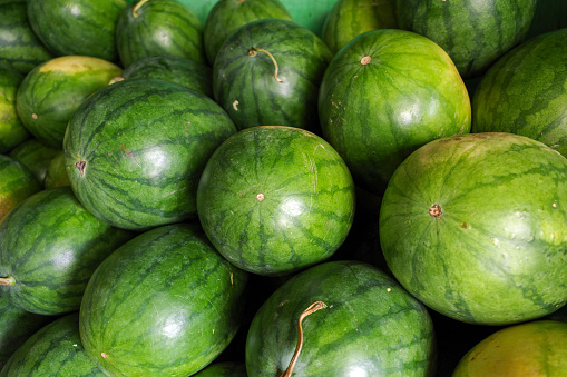 Fresh watermelons (Citrullus lanatus) on shelves in  supermarket.