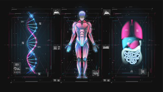 Wide Body Gui Sci Infographic Virtual Graphic Touch Hud Display With Illustration Hud ...