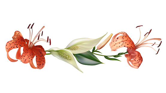 Floral background. Bouquet of white flowers and tiger lilies. Exotic. Border. Green tropical leaves.