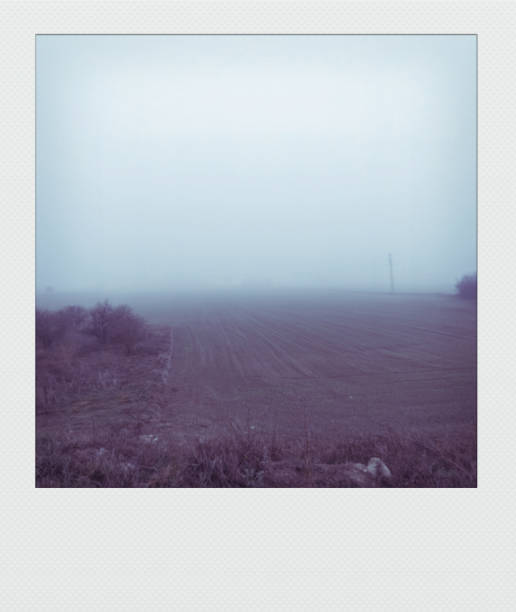 istock Landscape with fog 2057866600