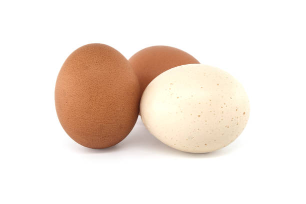 istock Eggs with varying colors isolated on white background 2057891641