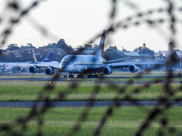 A Qatar Airways Airbus A380-861 plane, registration A7-APG, landing at Sydney Kingsford-Smith Airport as flight QR908 from Doha.  She is passing freight planes parked at the international freight terminal.  In the foreground is razor wire and barbed wire around the airport perimeter.  This image was taken from near General Holmes Drive, Mascot, on a hot, sunny day before sunset on 3 March 2024.