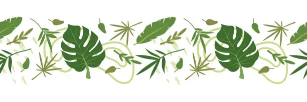 Vector illustration of Tropical leaves seamless border with abstract elements. Vector illustration, isolated.