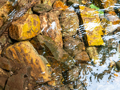 Wasseroberfläche Bwindi Impenetrable National Park, Uganda. Sehr gut als Hintergrund geeignet.