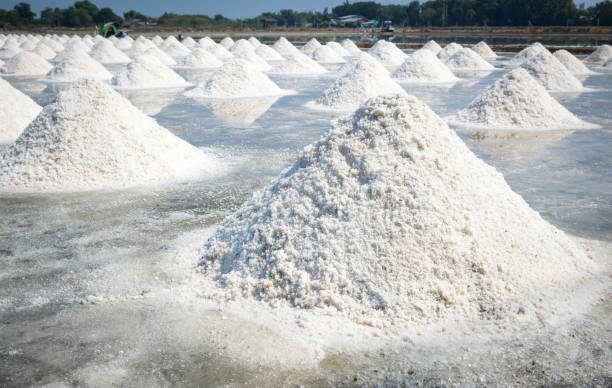 istock Small-scale Sea Salt Farming 2057995755