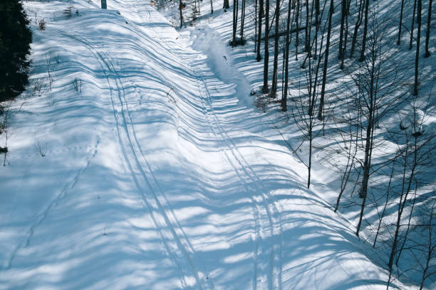 Shade's Mills Conservation Area Cambridge, Ontario, Canada in winter, snow, forest, cedar and pine forest, trails, sunset.