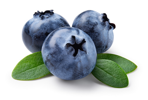 Blueberry isolated. Blueberries with leaves on white background. Blueberry with clipping path. Full depth of field.
