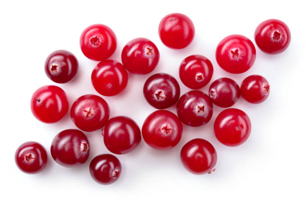istock Cranberry isolated. Cranberries on white background. Cranberry berries top view. Full depth of field. 2058002808
