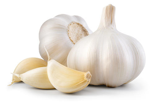 garlic home grown