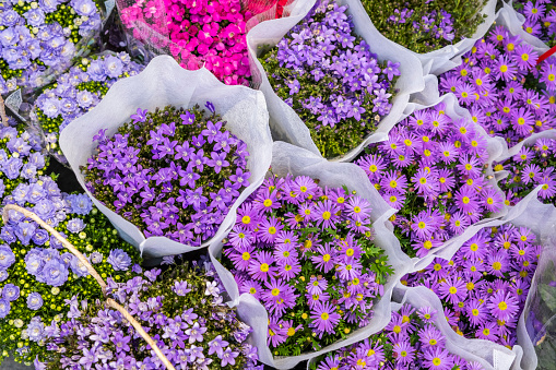 Flowers from the flower store