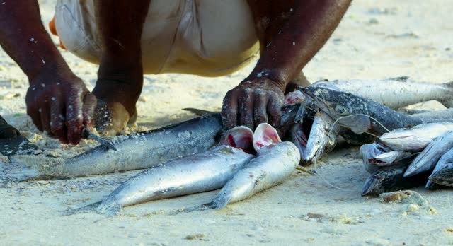 Local man cleaning fresh fish on the beach.