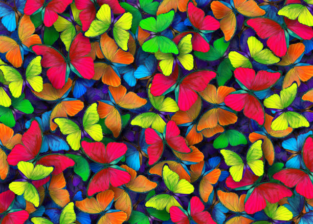 istock Colors of rainbow. Pattern of multicolored butterflies morpho, texture background. 2058040396