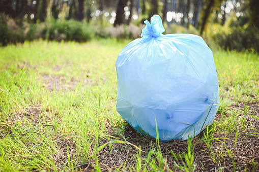 garbage in the forest