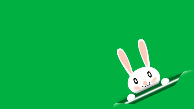 Cute white bunny looking animation on green screen